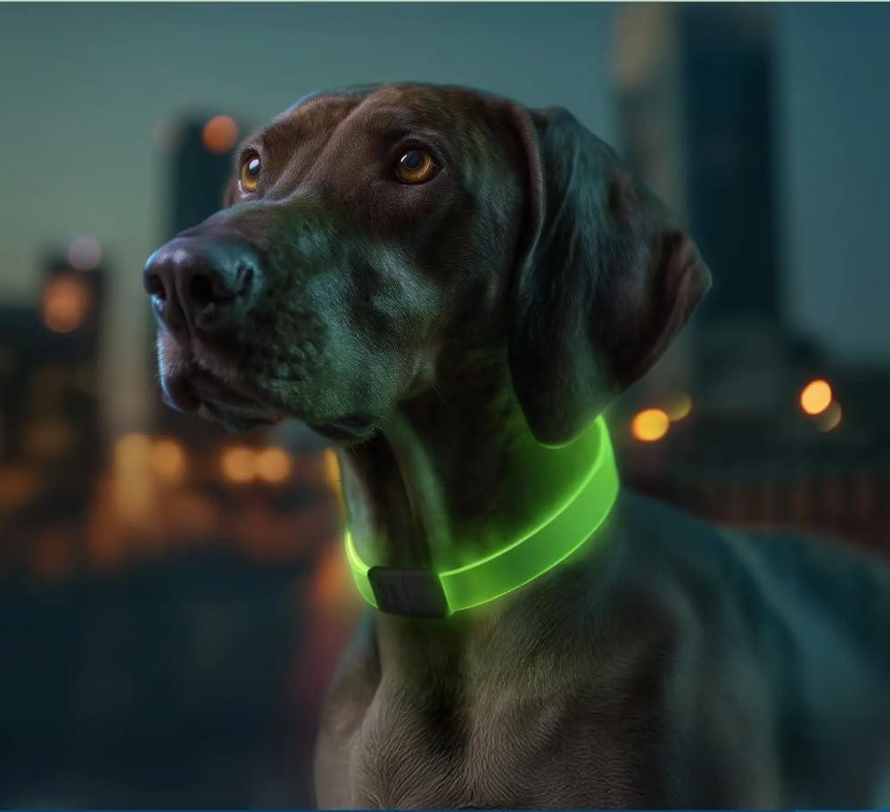 Light Up Dog Collar One Time Fit Waterproof LED Collar for Safety Night UNI Size Walking USB Rechargeable Glow in The Dark Suitable for Small Medium Large Dogs